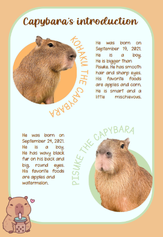 capybara
